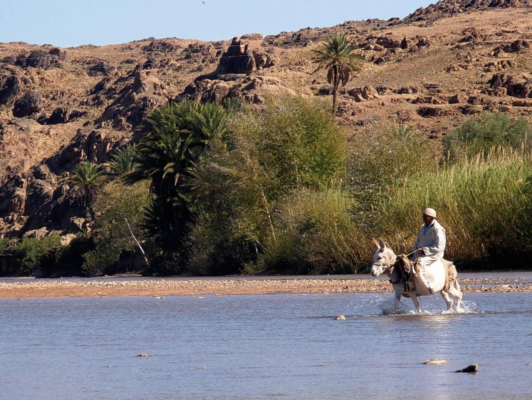 فندق Dar Es Salam سكورة المظهر الخارجي الصورة